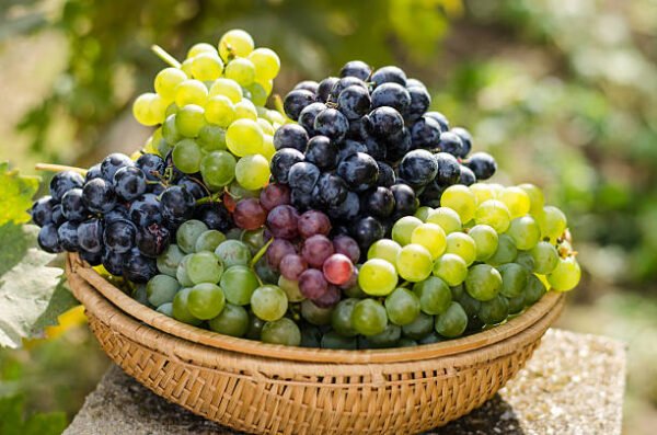 Grapes