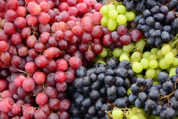 Grapes