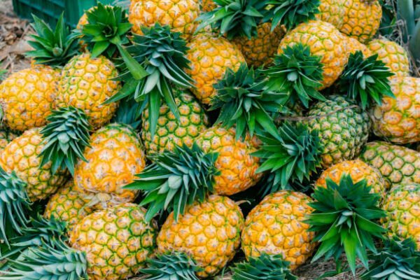 Pineapple