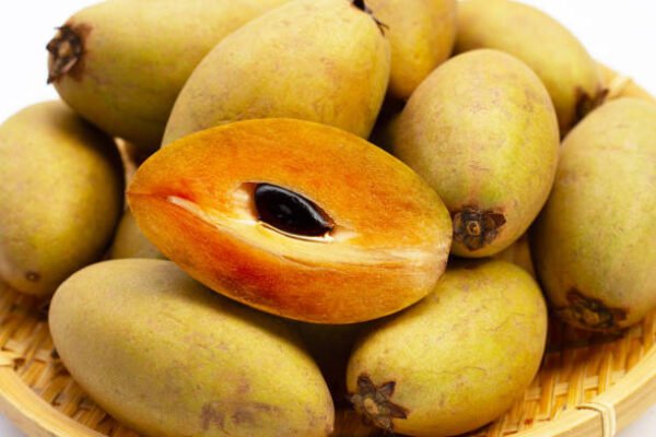 Sapodilla